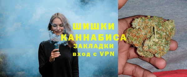 гашик Дмитриев