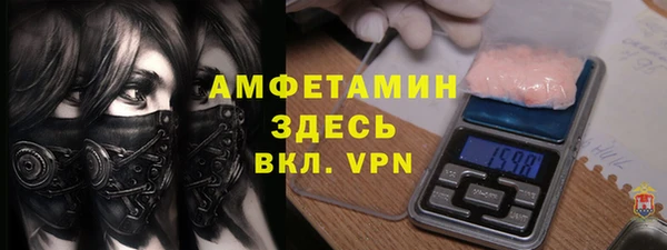 гашик Дмитриев