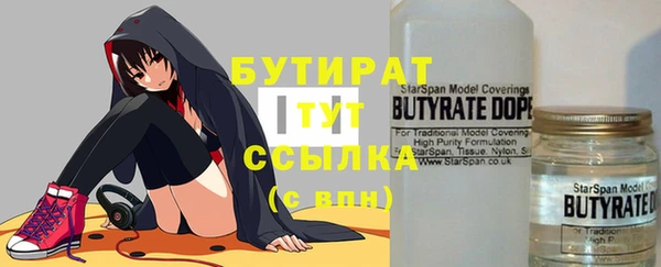 гашик Дмитриев