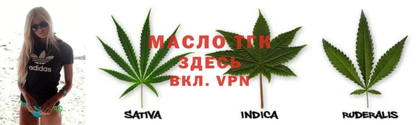 гашик Дмитриев