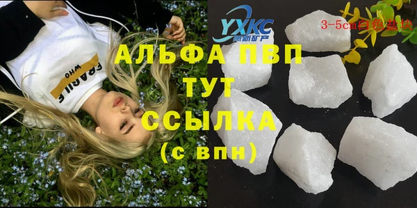 гашик Дмитриев
