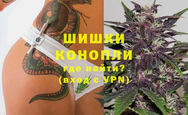 гашик Дмитриев